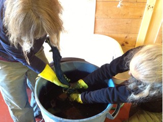 Dye_Cloth_bucket